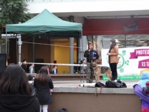 Feria-Canina-Municipalidad–1024×768-960×300