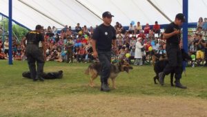 Feria-Canina-Padre-Hurtado-1024×578-960×300