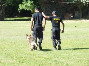 Instrucción-Guia-Canino-1024×768-960×300