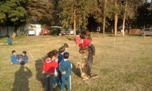 RSE-JARDIN-INFALTIL-1024×614-960×300